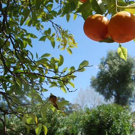 Prana Nature Setubal
